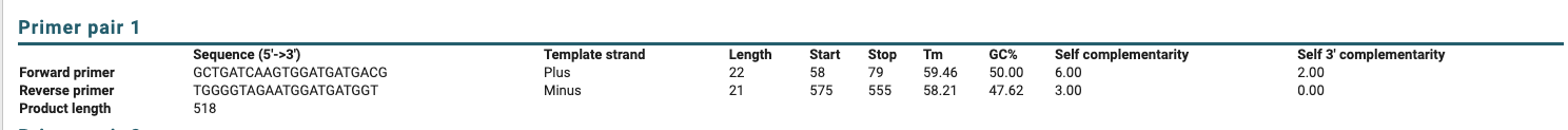 Figure 3: Relevant information about the selected forward and reverse primers.